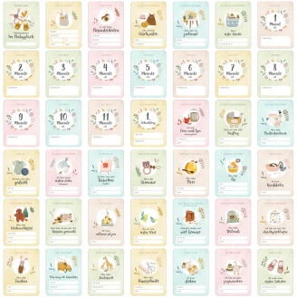 42 Meilensteinkarten Baby Pastell inkl. Verpackung