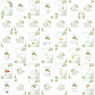 42 Meilensteinkarten Baby grüne Blätter inkl. Verpackung
