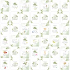 42 Meilensteinkarten Baby grüne Blätter inkl. Verpackung