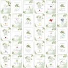 30 Meilensteinkarten Schwangerschaft grüne Blätter inkl. Verpackung